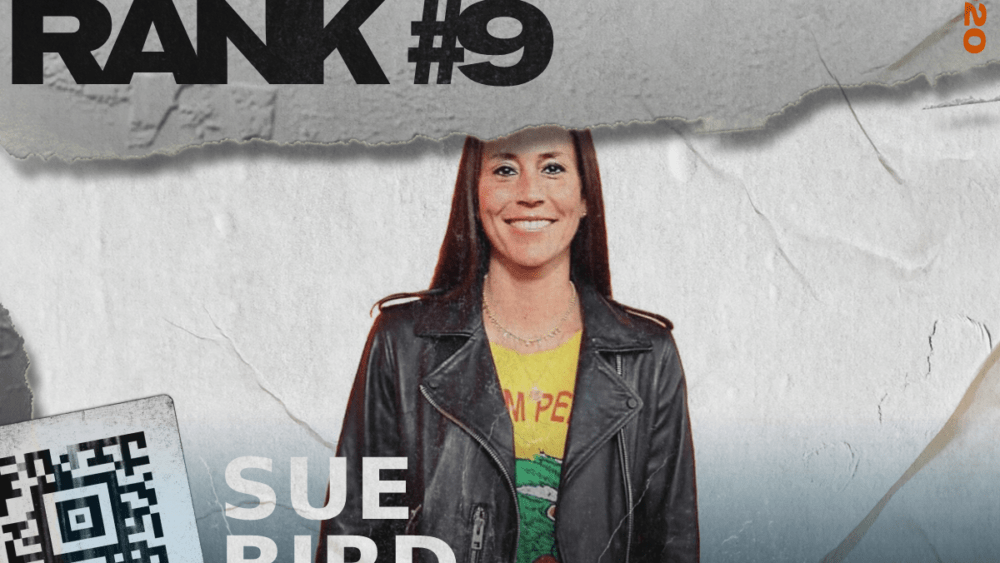 sue bird sneaker collection